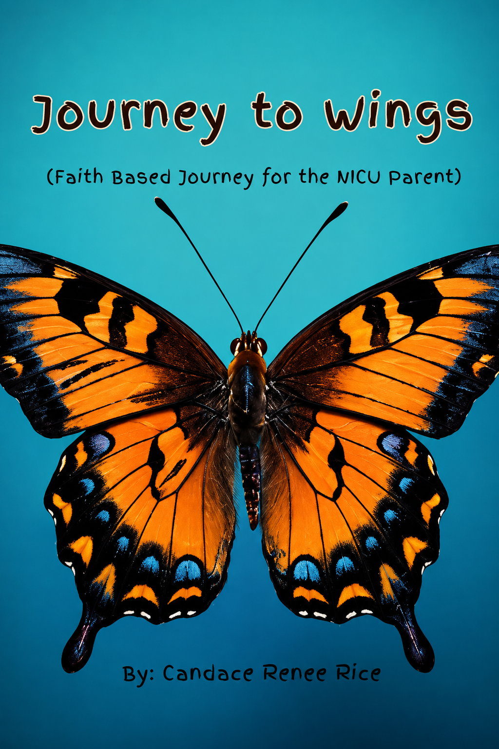 Journey to Wings: A Faithful Story for the NICU Parent | Faith Based Preemie & NICU Baby Book